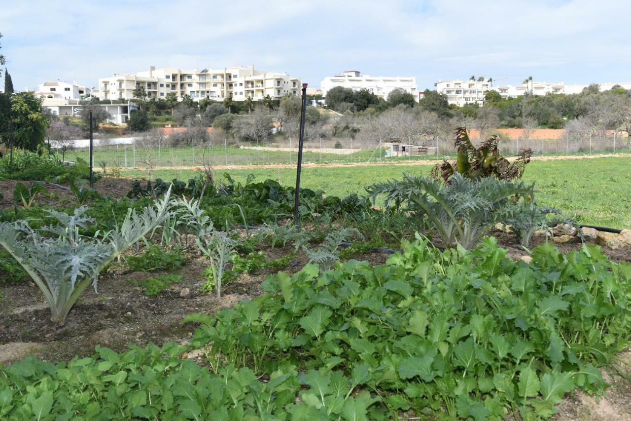 Quinta David Villa Alvor Exterior photo